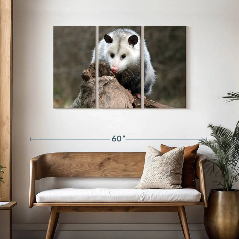 Bramble opossum, H 28 po x l 45 po