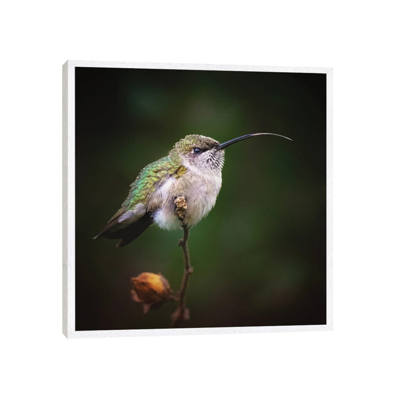 Shimmer 1 Piece Wall Art on Canvas, 45.72 cm H x 45.72 cm W, White Framed