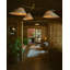 Dou 3 Light Chandelier