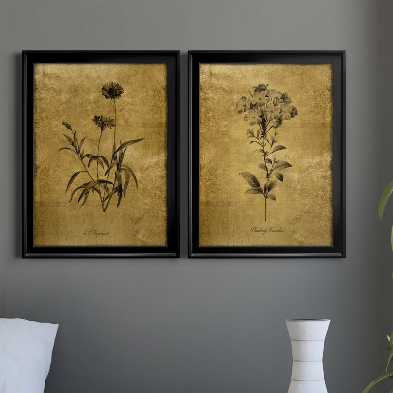 Croquis d'or Botanique I - Ensemble de 2 peintures sur toiles, H 18,5 po x l 49 po, Toile encadrée, Gold