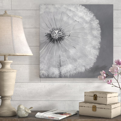 " Dandelion Puff Ball "