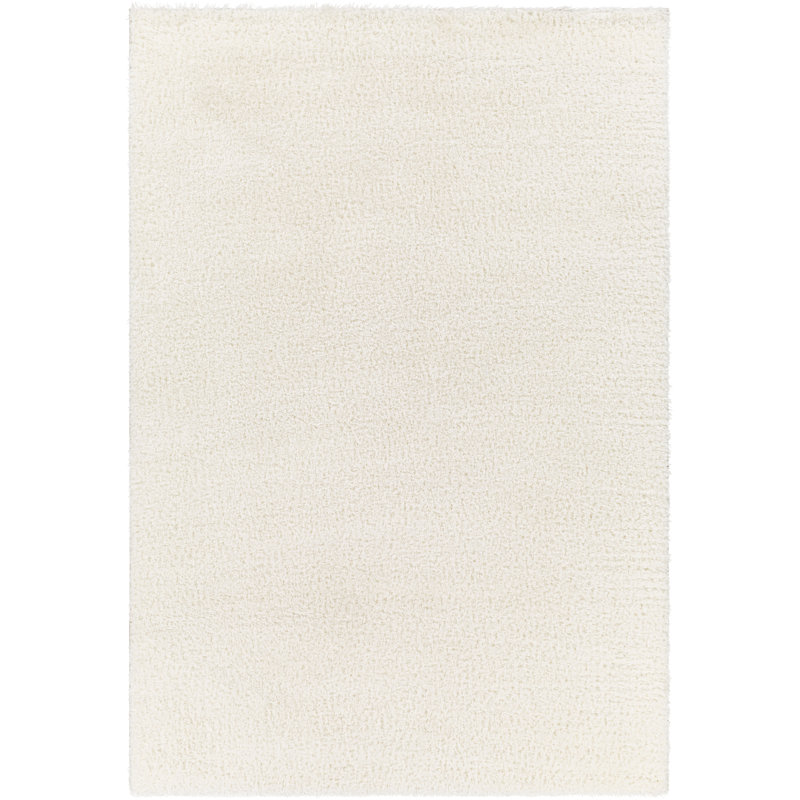 Basics by Wayfair™ Solid Shag Area Rug, Rectangle 7'10" x 10'