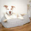 Hearn Polyester Pet Bed-559338214-559338213