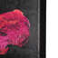 Midnight Flower I a Hand Embelished Textured Canvas-92362072