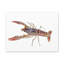 Art mural majestueux Cray Fish