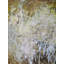 222 Verdant Print by Anne B. Schwartz-64401484
