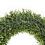 Couronne UV en buis-1668729438