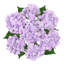 Tige de fleur d'hortensia artificielle-1635926246