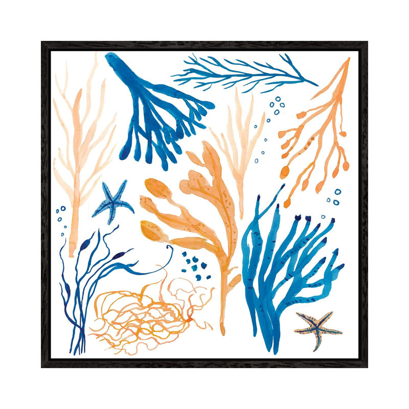 Seaweed Coastal by Michelle Campbell - Print on Canvas, 45.72 cm H x 45.72 cm W, Black Framed