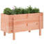 Meenakshi Wood Raised Garden Bed-1774958730-1774958728-1774958735