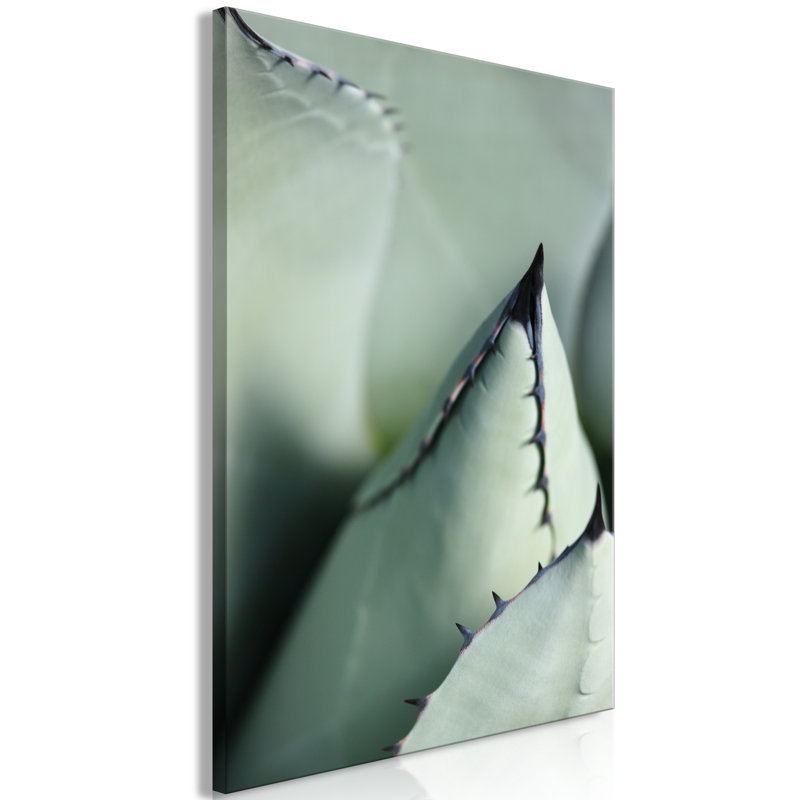 No Frame Print on Canvas, 40cm H x 60cm W