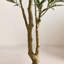 Olive artificielle Ashwell avec pot blanc -155919475