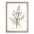Oak Framed selected