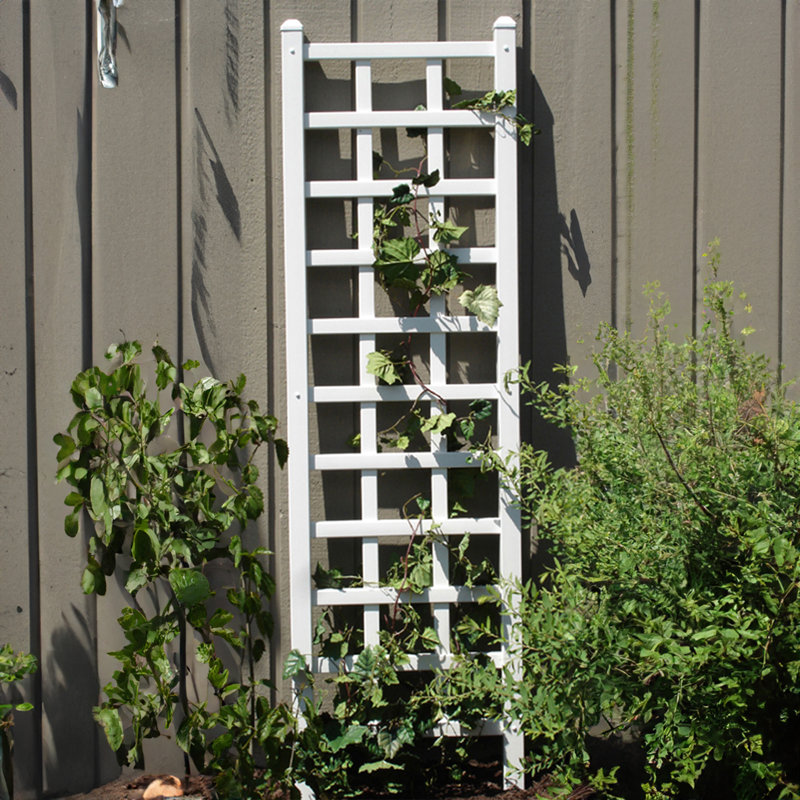 75'' H x 22'' W Polyvinyl Chloride (PVC) Classic Grid Trellis