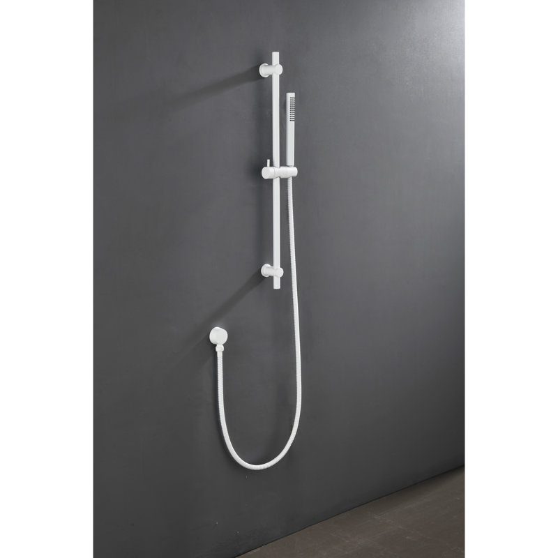 Barre de douche avec barre à main et boyau de douche de 69 po - Élément de conception moderne en acier inoxydable