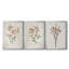 Blush Rose Botanical I - Toile tendue avec châssis sur mesure - 3 pièces-1531901453-1531901454