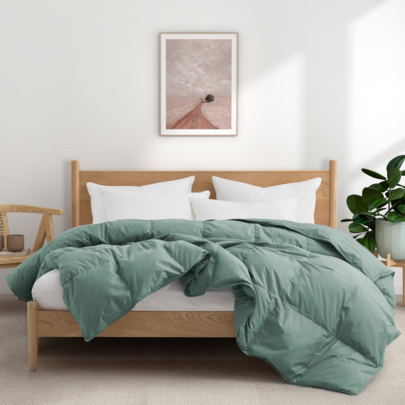 All Season Cotton Down Comforter/Duvet Insert, Queen Comforter, Green