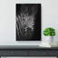 Zebra In The Shadows In Abstract - Wrapped Canvas-55300396
