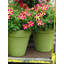Bojorquez Pot Planter-317792791-317792788