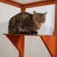 Parc pour chat Ermana