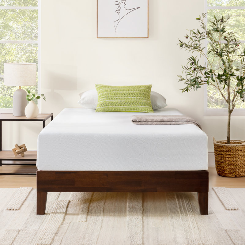 Sleep by Wayfair™ 8"/10"/12" Plush Memory Foam Mattress, 10", Full
