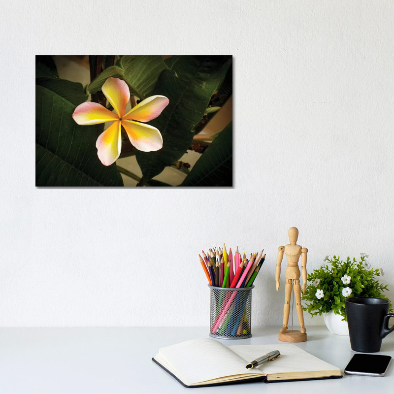 Rainbow Singke 1 Piece Wrapped Canvas Wall Art, 20.32cm H x 30.48cm W x 1.91cm D