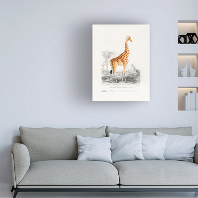 Bolog Charles Dessalines D Giraffe Canvas Art