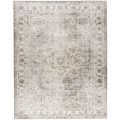Lefkothea Joy Vintage Machine Washable Area Rug