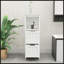 Armoire de salle de bain avec 2 tiroirs et 1 tablette de rangement