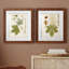 Antique Leaves VII - ensemble de 2 reproductions d'art sur papier encadré-65366989-65367025