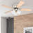 Whitley 42" Ceiling Fan with LED Light-896505044