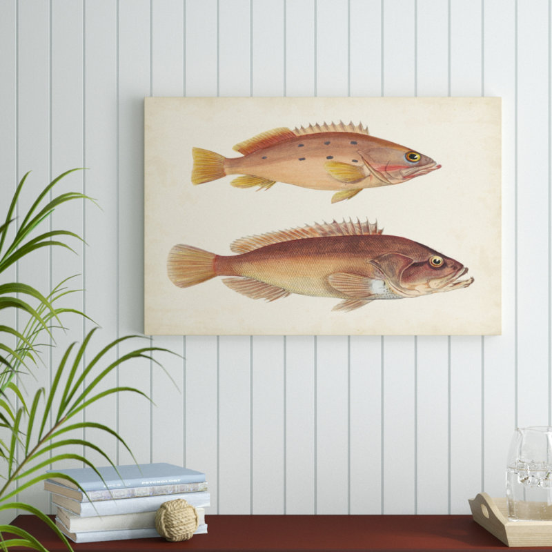 «Antique Fish Species I», peinture sur toile, H 24 po x l 36 po
