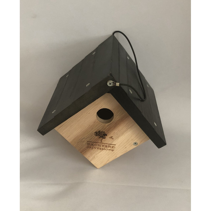 Natural Cedar Triangle Bird House with Black Roof, 8" x 8" x 12"