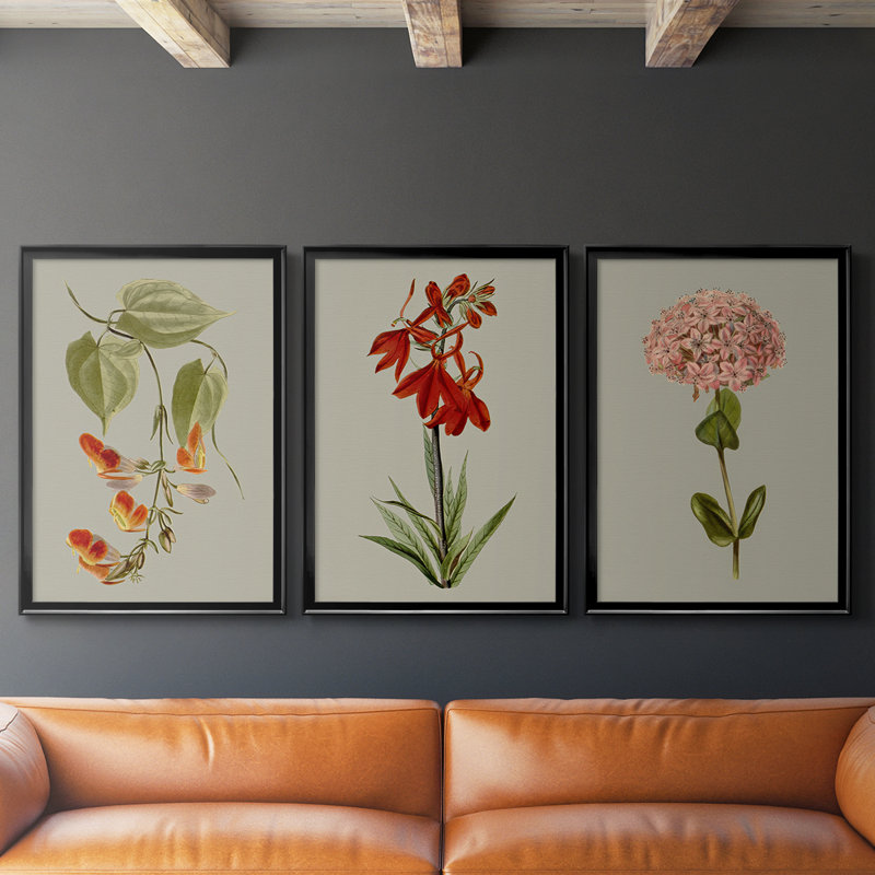 Botanical Array VI - Toile tendue avec châssis sur mesure - 3 pièces, Noir, noir, noir, noir, H 30 po x l 63 po