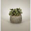 Faux Plant in Pot
