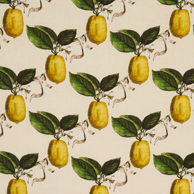 Schumacher x Johnson Hartig Le Citron Fabric