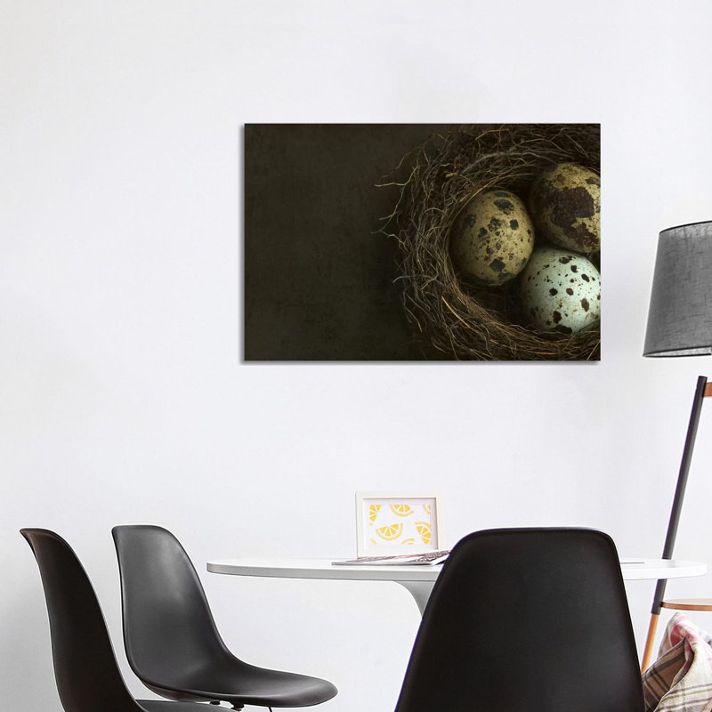 Bird's Nest And Quail Eggs Closeup by Alyson Fennell - Wrapped Canvas Print, 101.6 cm H x 66.04 cm W x 1.91 cm D