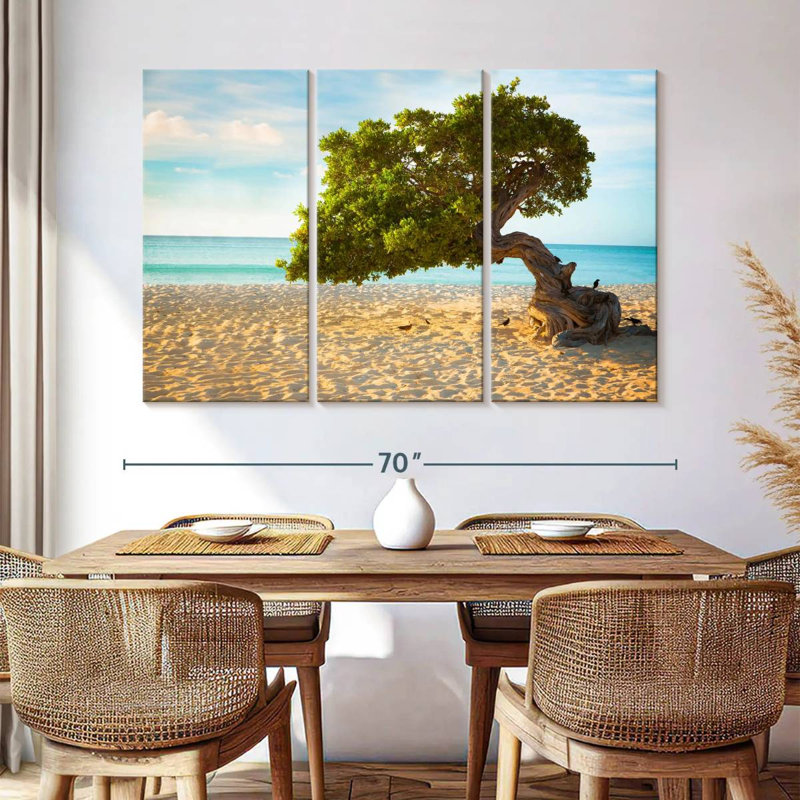 Arbre Gillard Divi-Divi à Aruba, H 42 po x l 65 po