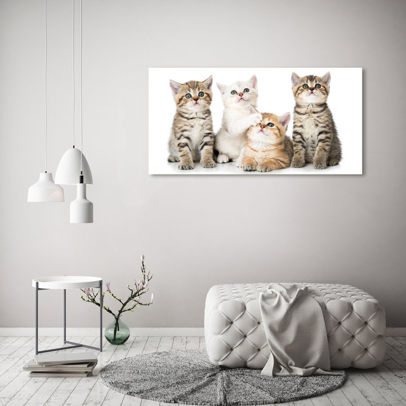 Small Cats - Wrapped Canvas Print