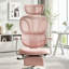 Chaise de bureau ergonomique avec repose-pieds rétractable et soutien lombaire dynamique-1454268004