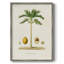 Arbre antique avec fruit II, reproduction encadrée - bois massif-1654444866