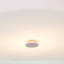 Harworth Flush Mount-25305091-25305092