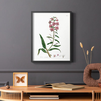 Rose Botanical I Framed Print - Solid Wood