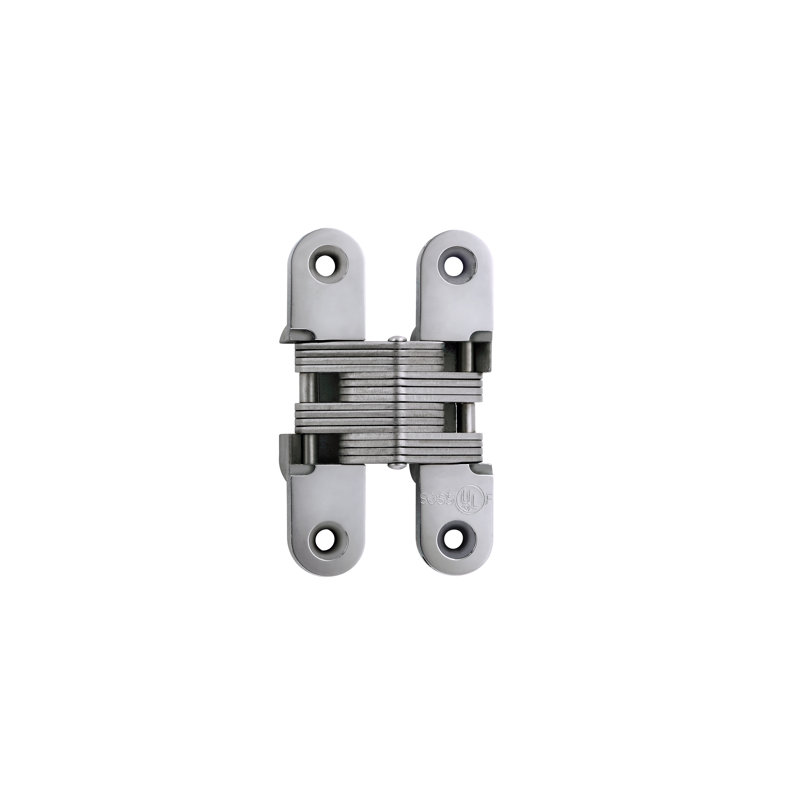 Charnière de porte simple invisible, Acier inoxydable brillant
