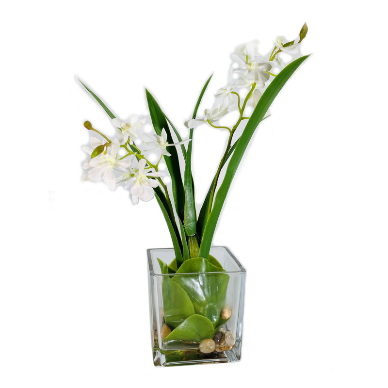 Orchidée Vanda en verre 13 "