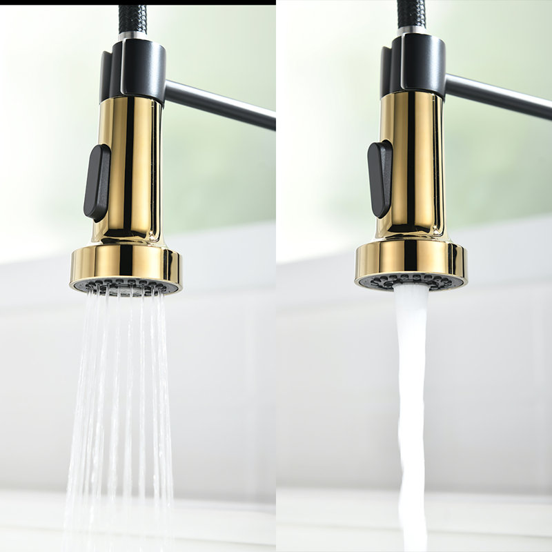 PENGFANG WORLDWIDE LLC Pull Down Kitchen Faucet, Black/Gold