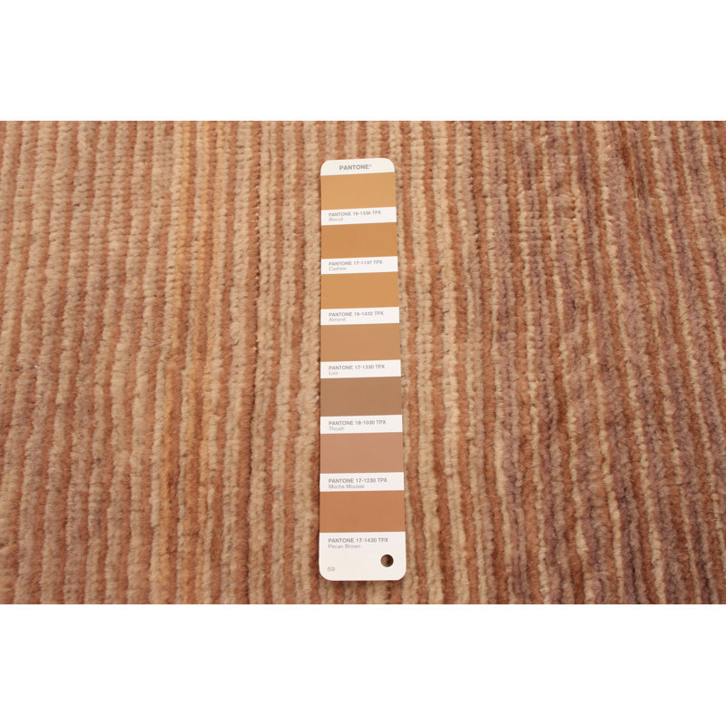 Tapis décoratif en laine brun clair de conception unique 4 pi 1 po x 6 pi 1 po Audriena noué à la main