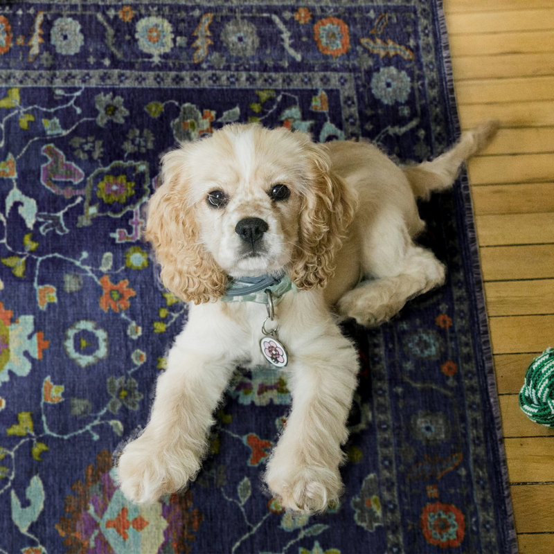 Farhaad Navy And Blue Runner Rug, Rectangle 2'2" x 3'