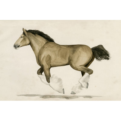 Clydesdale II