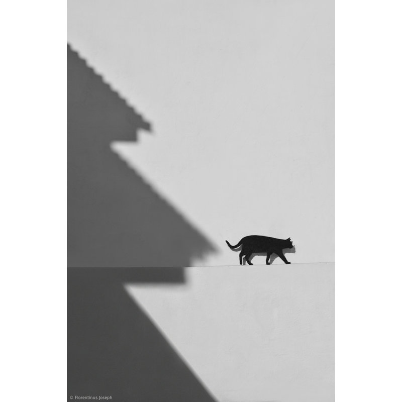 Wrapped Canvas Print, 76.2 cm H x 50.8 cm W